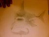 MyPicture.jpg