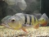 DSC05263_resize.JPG