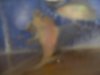 DSCN1528.JPG