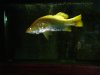 DSC08187.JPG