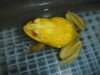 DSC08190.JPG