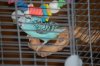DSC_0028.JPG
