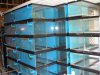 19JUN08 Aquariums for sale 011.jpg