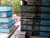 19JUN08 Aquariums for sale 014.jpg
