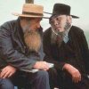 amish-hijinks.jpg