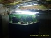 New fish 9-13 080.jpg