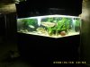 01-06-08 new gar 007.jpg