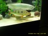 01-06-08 new gar 032.jpg