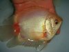 DSC00566.JPG