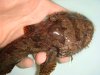 DSC00571.JPG