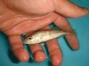 DSC00574.JPG