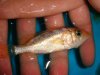 DSC00575.JPG