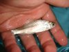 DSC00587.JPG
