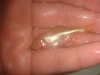 DSC00589.JPG