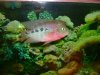 DSC02545.JPG