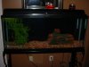 Gachua home 2.JPG
