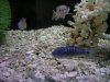 DSCN1194.JPG