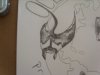 hammerhead 002.JPG