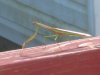 IMG_0180.JPG IMG_0180.JPG