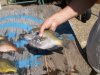 fishin 004.jpg
