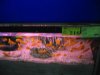 IMG_5087 Display Cichlids Yellow.JPG