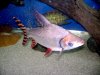 DSC00100.JPG