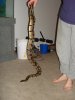 DSC00276.JPG