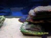 100_9705.jpg 100_9705.jpg