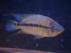 DSC06243.JPG DSC06243.JPG