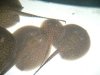 test5.jpg