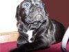 busterjr.jpg