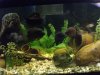 01JULY08 055.jpg