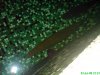 DSC00590.JPG