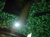 DSC00592.JPG