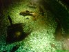 DSC00593.JPG
