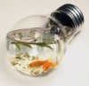 fishbowl-lightbulb.jpg