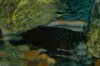 DSC_0004.JPG