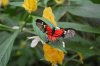 DSC_0077.JPG