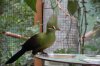 DSC_0145.JPG