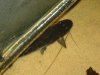 DSC08678.jpg
