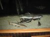 IMG_0057.jpg IMG_0057.jpg