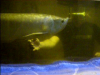 vlcsnap-39809.png