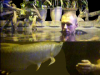 vlcsnap-3435757.png