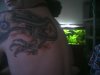 Picture 003.jpg