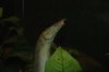 DSC_1050.JPG