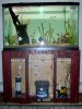 fish tank 2.jpg fish tank 2.jpg