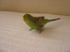 DSC03890.JPG