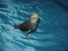 DSC04803.JPG
