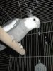DSC06920.JPG