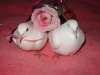 DSC08462.JPG